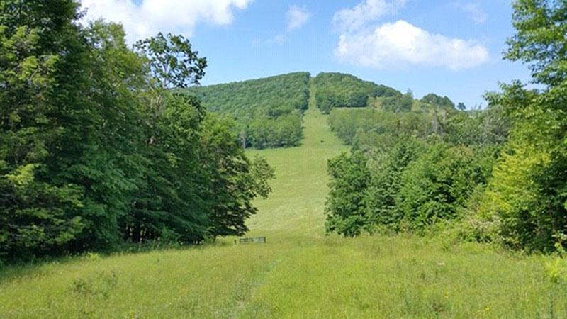 Right of Way in the Monongahela National Forest